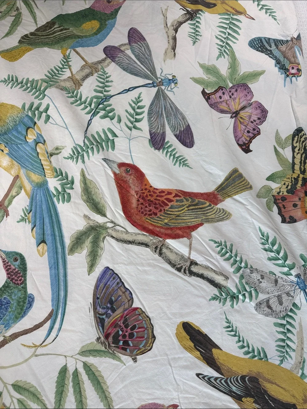 Pottery Barn Fauna Bird Percale Duvet Cover